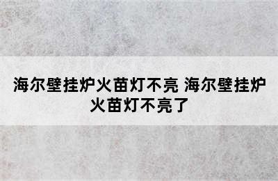 海尔壁挂炉火苗灯不亮 海尔壁挂炉火苗灯不亮了